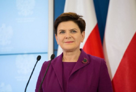 Polish Prime Minister hurt in car crash but prognosis good